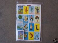 JUMBO 10-Board Traditional Original Mexican Loteria Bingo Game Don Clemente